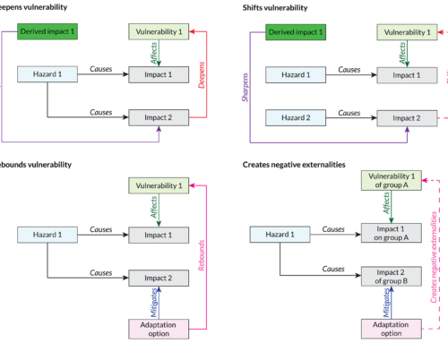 An impact-chain-based exploration of multi-hazard vulnerability dynamics: the multi-hazard of floods and the COVID-19 pandemic in Romania