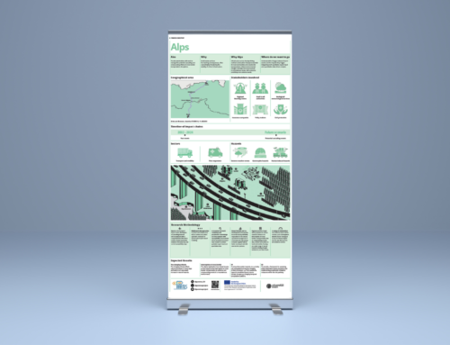 Alps Case Study Infographic
